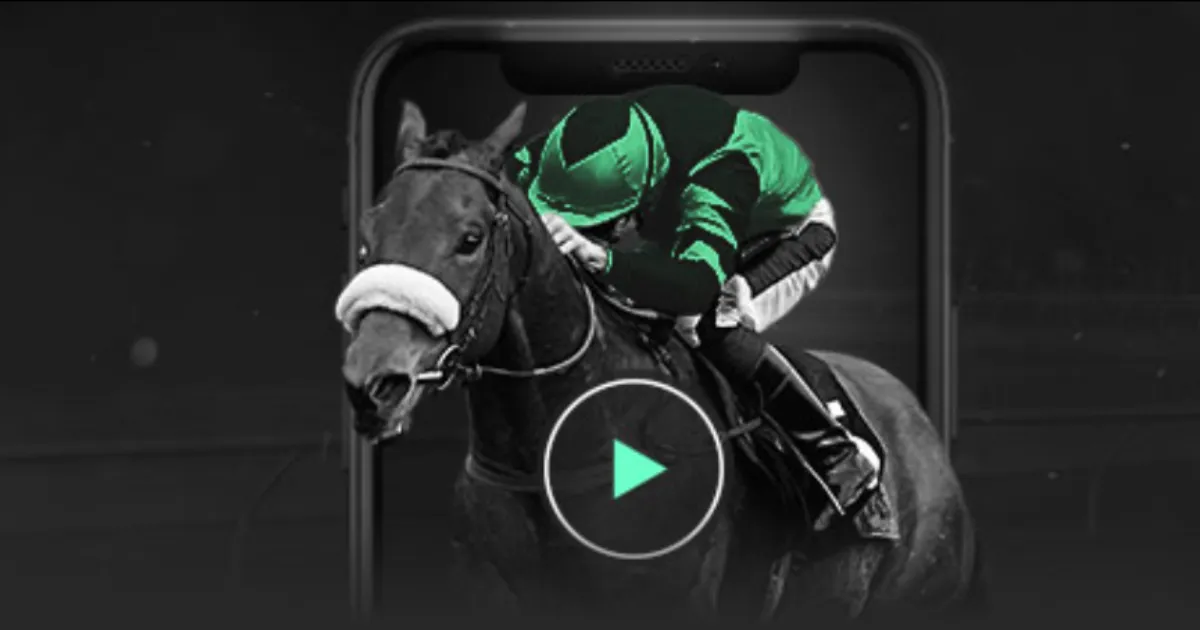 绝不容忍,马克斯,维斯塔彭发,188bet金宝博官网,188bet金宝博体育APP,188Bet,188bet金宝博平台