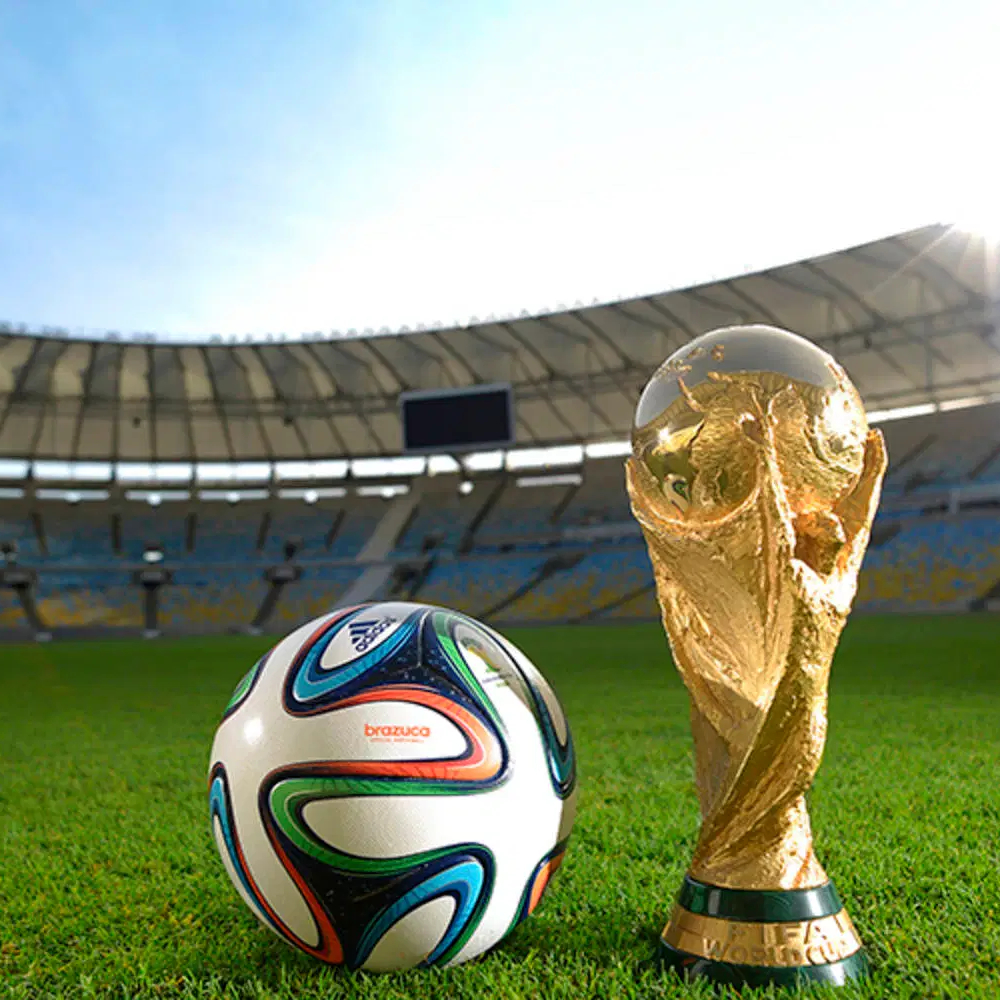 灰熊向,提供,号签保护并,188bet金宝博官网,188bet金宝博体育APP,188Bet,188bet金宝博平台