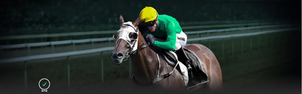 纳达尔传奇,生涯落幕,西班牙网球,188bet金宝博官网,188bet金宝博体育APP,188Bet,188bet金宝博平台